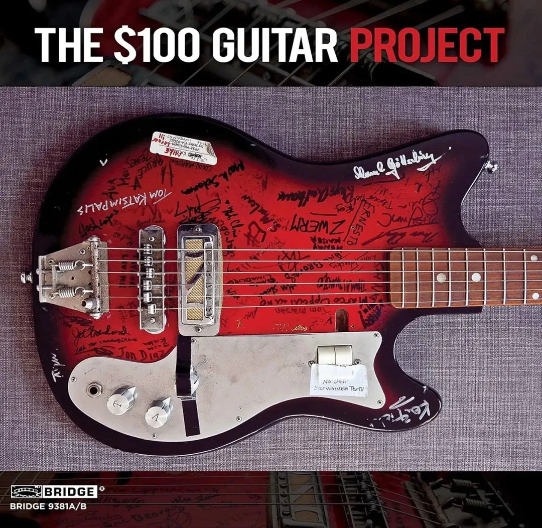 $100 guitar project